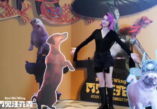 电影《再见汪先森》暖心上映 萧子墨张国强吕晓霖柴碧云西安“省亲”