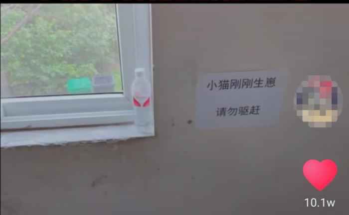 视频截图 武汉百步亭这家“月子中心”火了 网友:太暖心!