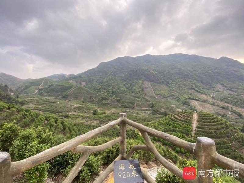 梅州山村里的畲话:有音无字似客家话,口口相传仅81户在用